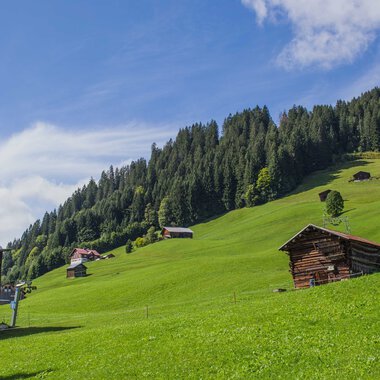 Haspelwald vom Maisässlift aus