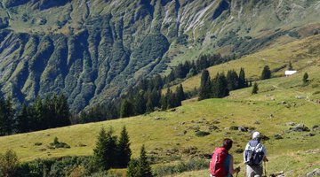 Kurz vor der Inneren Stierhofalpe mit Blick aufs Starzeljoch