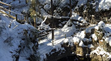Naturbrücke im Winter