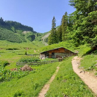 A picturesque mountain cabin surrounded by green meadows and trees. A narrow path winds through the landscape. | © Kleinwalsertal Tourismus | Steffen Stöhr