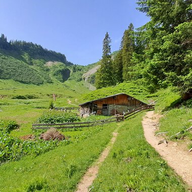 Eine malerische Berghütte umgeben von grünen Wiesen und Bäumen. Ein schmaler Weg führt durch die Landschaft. | © Kleinwalsertal Tourismus | Steffen Stöhr