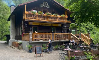 Ein gemütliches Chalet inmitten von Bäumen. Auf der Terrasse sitzen Gäste und genießen die Natur. | © Waldhaus | Yvonne Grosse