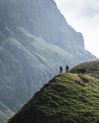 Two people with a dog on a green hilltop against a stunning mountain backdrop. | © Kleinwalsertal Tourismus eGen • Photographer: Andre Tappe
