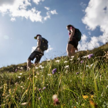 Zwei Wanderer auf einer grünen Bergwiese mit Blumen, unter einem blauen Himmel mit Wolken, beim Wandern. | © Kleinwalsertal Tourismus eGen • Fotograf: Bastian Morell
