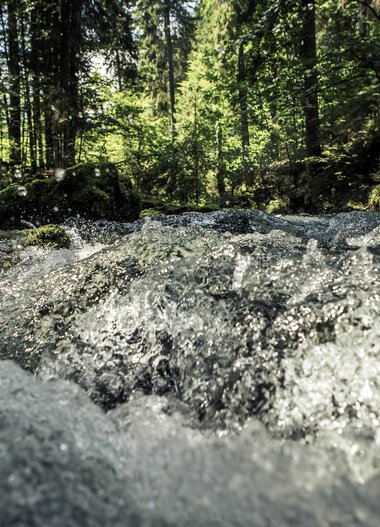 Ein schneller Fluss in einem grünen Wald mit Sonnenlicht, das durch die Bäume scheint. | © Kleinwalsertal Tourismus eGen • Fotograf: Oliver Farys