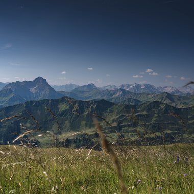 Landscape of green mountains and meadows under a clear blue sky, summer 2024. | © Kleinwalsertal Tourismus eGen • Photographer: Robert Niederwolfsgruber