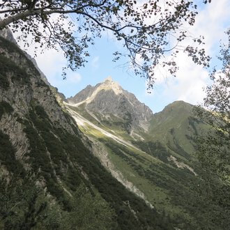 Mountain landscape with rugged peaks and green slopes, with tree leaves in the foreground. | © Kleinwalsertal Tourismus eGen • Photographer: Antje Pabst