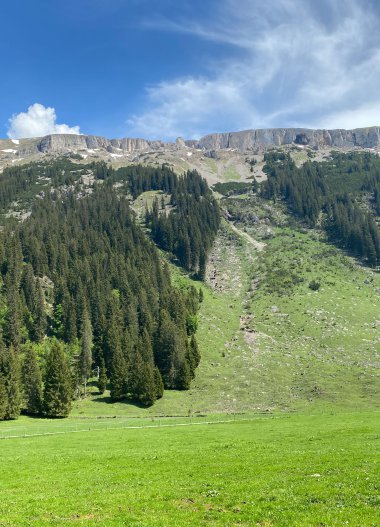 Mountain landscape with green valley, dense forests, and blue sky with clouds. | © Kleinwalsertal Tourismus eGen