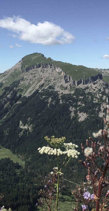 Beeindruckende Berglandschaft mit grünen Hängen, Blick auf den Ifen im Sommer, mit einem blauen Himmel und Wolken | © Kleinwalsertal Tourismus eGen