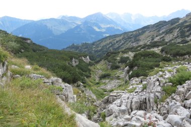 Landschaftsaufnahme mit grünen Hügeln, Felsen und Bergen im Hintergrund, typische alpine Szenerie im Sommer. | © Kleinwalsertal Tourismus eGen • Fotograf: unbekannt