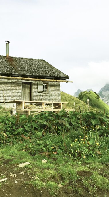 A rural house in the mountains with green meadows, mountains in the background, and cloudy sky. | © Kleinwalsertal Tourismus eGen