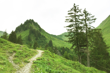 Hiking trail in the scenic Derratal in Kleinwalsertal, surrounded by green mountains and fir trees, on a clear day. | © Kleinwalsertal Tourismus eGen