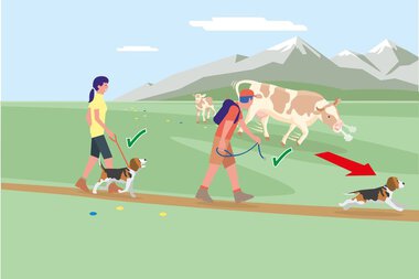 Illustration of people walking their dogs on a meadow with mountains in the background. The dog in the foreground is running into the water, others stay on the leash. | © Bundesministerium für Nachhaltigkeit und Tourismus