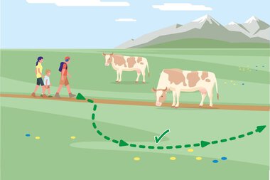 Family walking on a trail with cows on a green meadow in front of mountains, illustrating safe distance guidelines from animals. | © Bundesministerium für Nachhaltigkeit und Tourismus